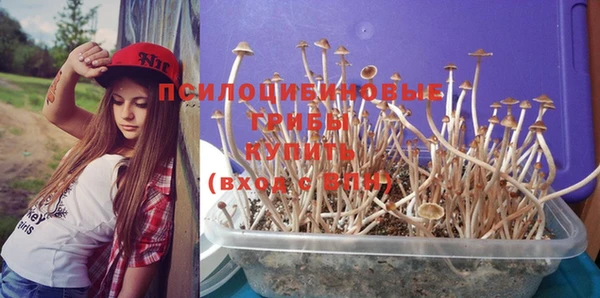 хмурый Белоозёрский