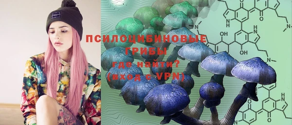 марки nbome Беломорск