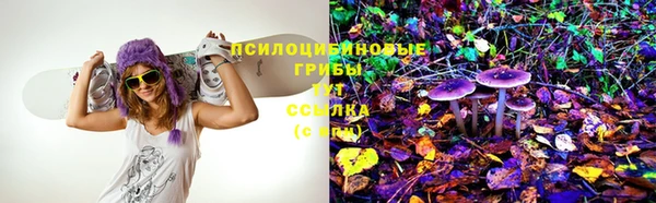 MDMA Белокуриха