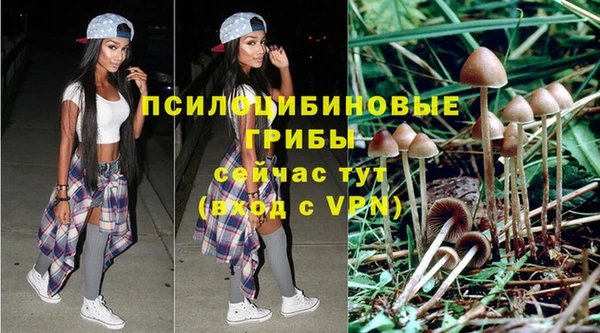 марки nbome Беломорск