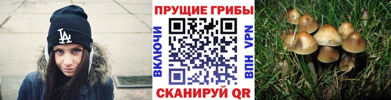 мега вход  купить   Югорск  площадка формула  Псилоцибиновые грибы ЛСД 